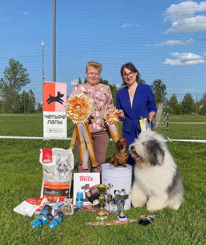 Собака FURRY MIRACLE GALATEA