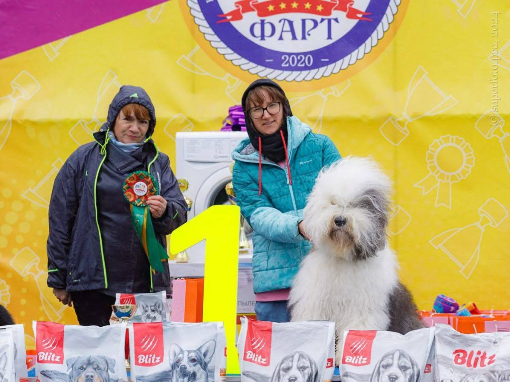 Собака FURRY MIRACLE GALATEA