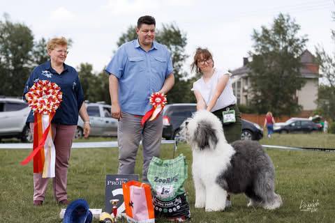 Собака FURRY MIRACLE GALATEA