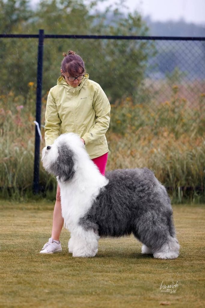 Собака FURRY MIRACLE GALATEA