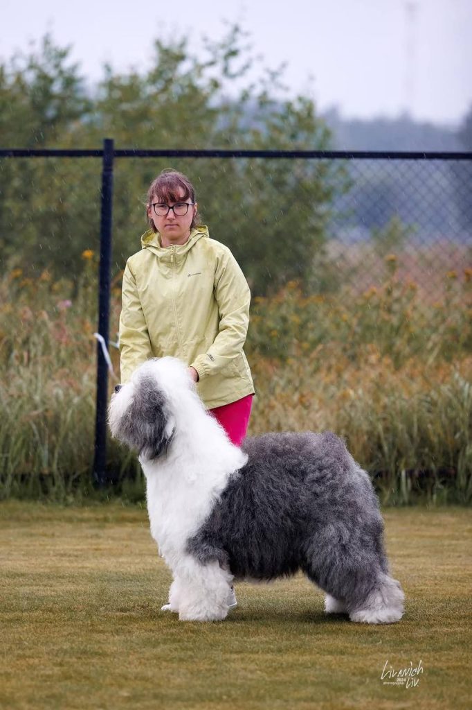Собака FURRY MIRACLE GALATEA