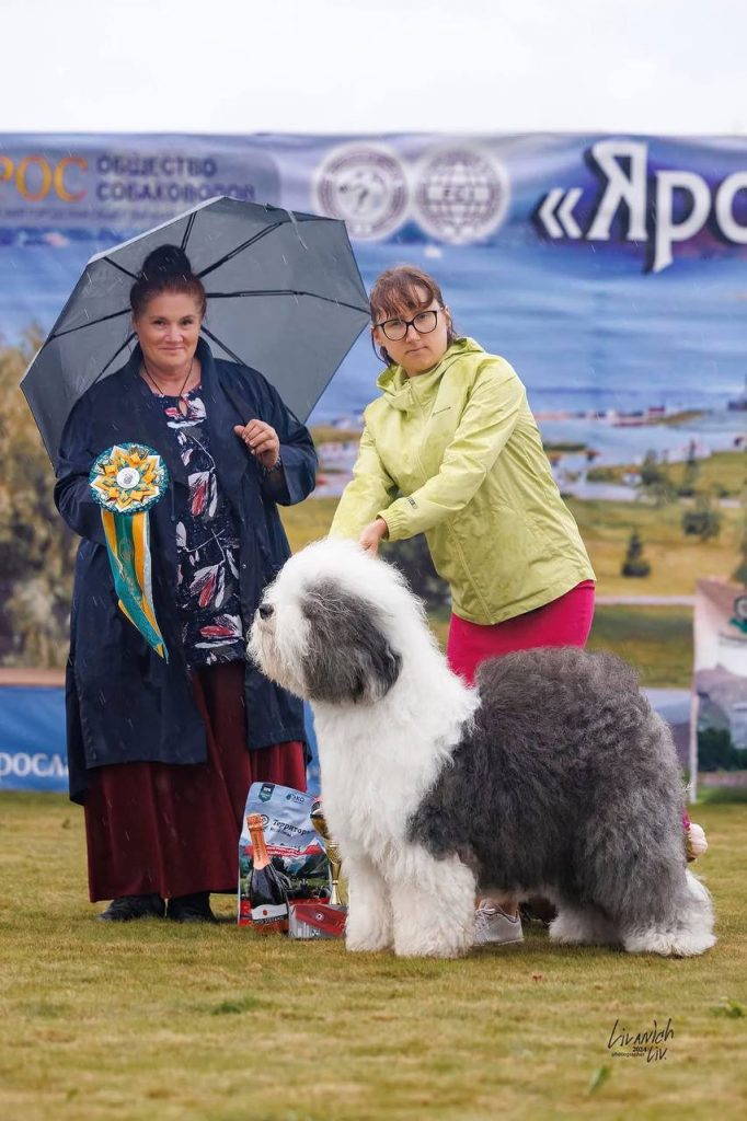 Собака FURRY MIRACLE GALATEA