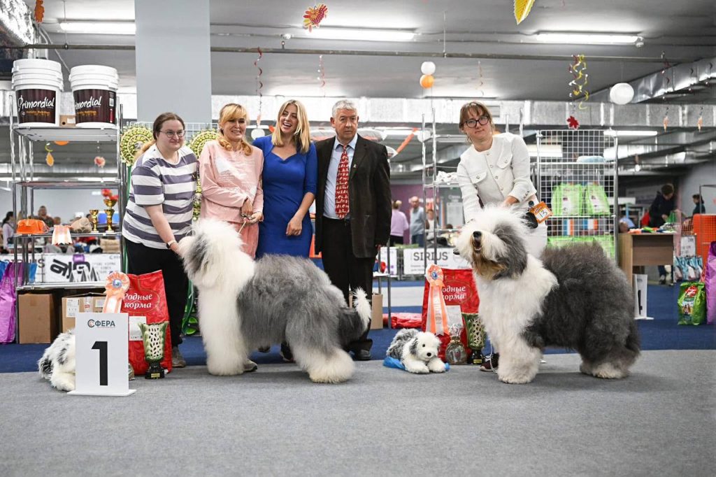 Собака FURRY MIRACLE GALATEA