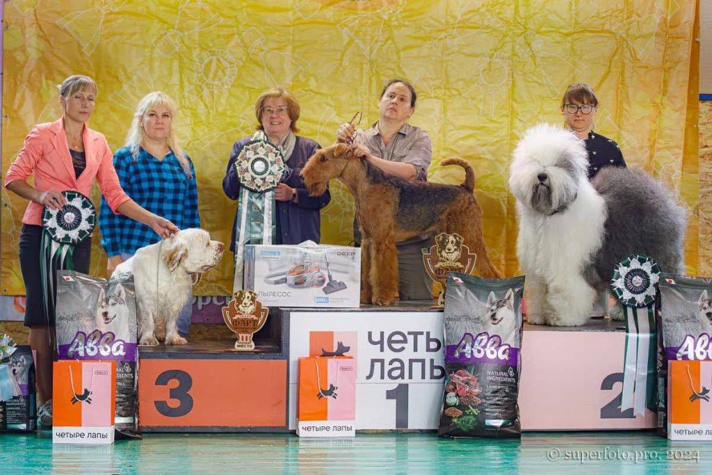 Собака FURRY MIRACLE GALATEA