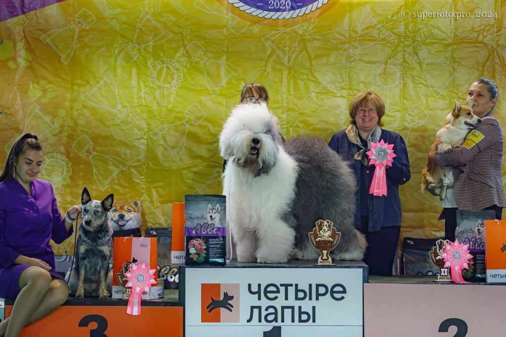 Собака FURRY MIRACLE GALATEA