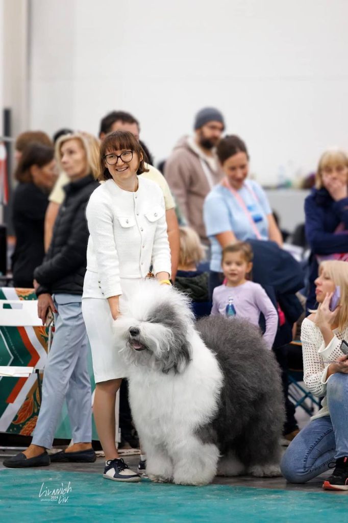 Собака FURRY MIRACLE GALATEA