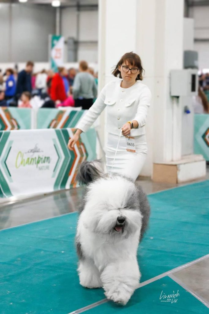 Собака FURRY MIRACLE GALATEA