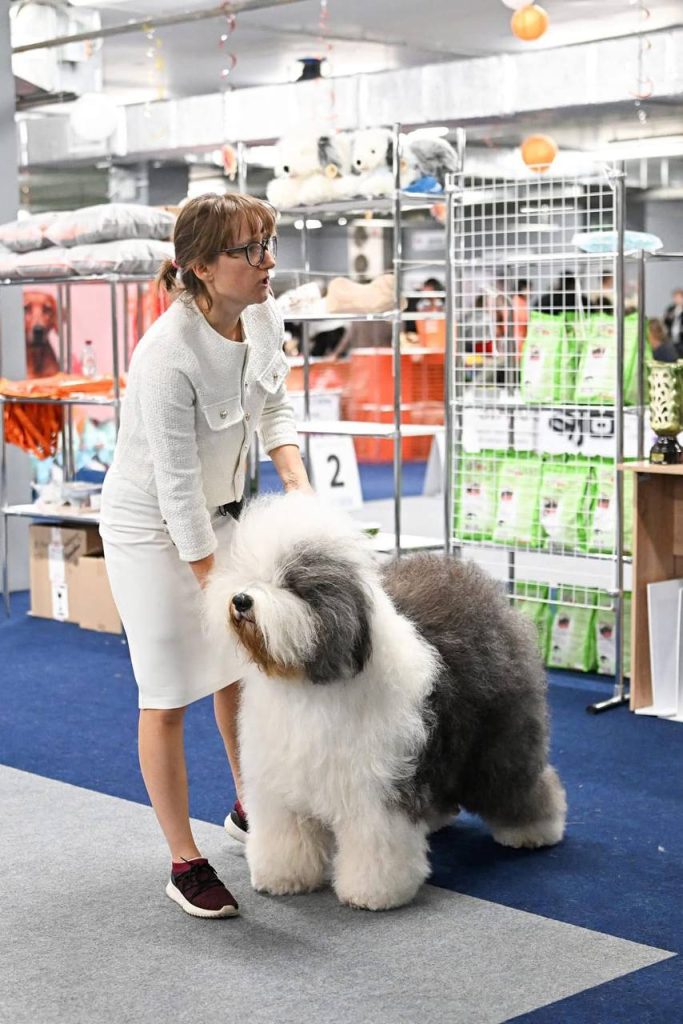 Собака FURRY MIRACLE GALATEA