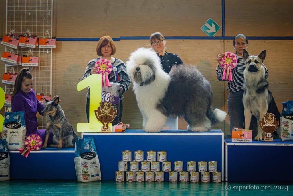 Собака FURRY MIRACLE GALATEA