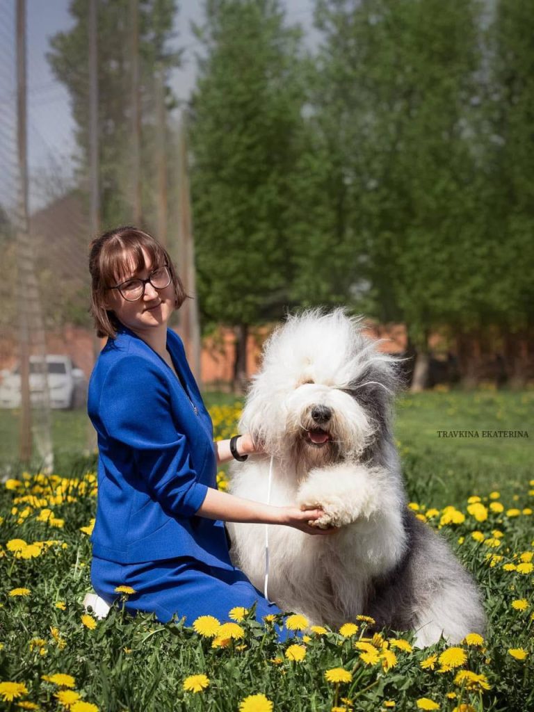 Собака FURRY MIRACLE GALATEA