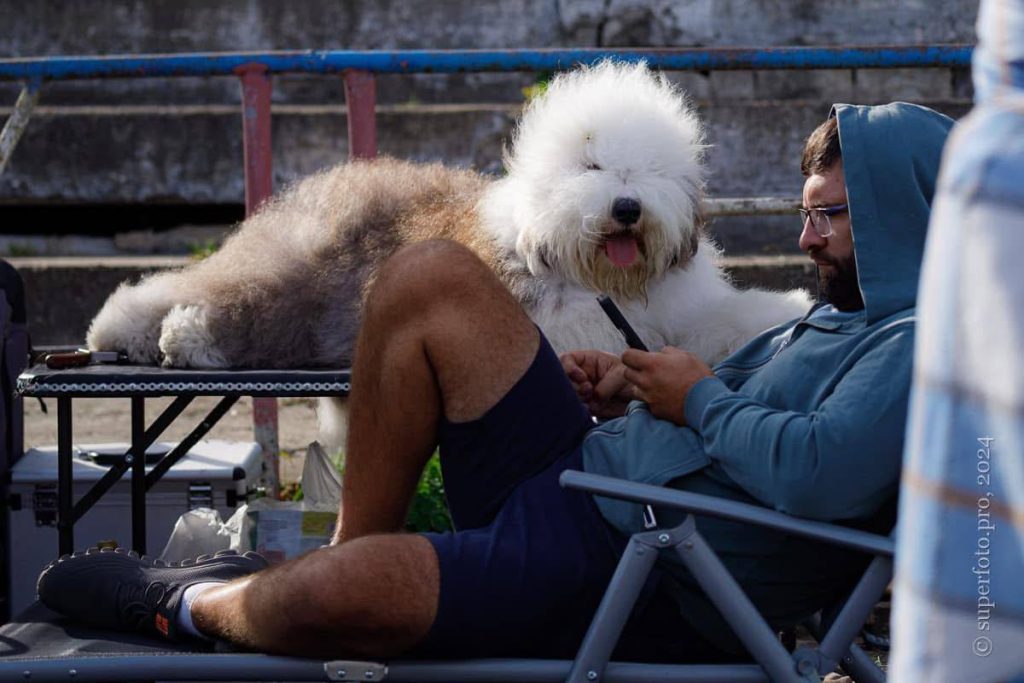Собака FURRY MIRACLE NEW WONDER