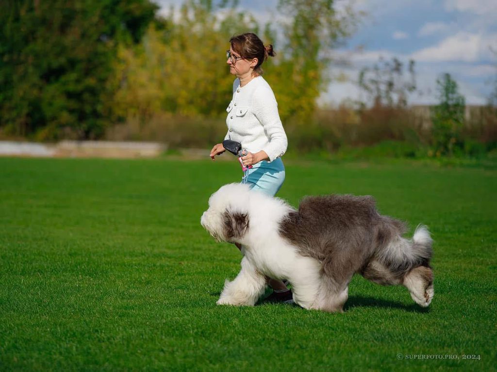 Собака FURRY MIRACLE NEW WONDER