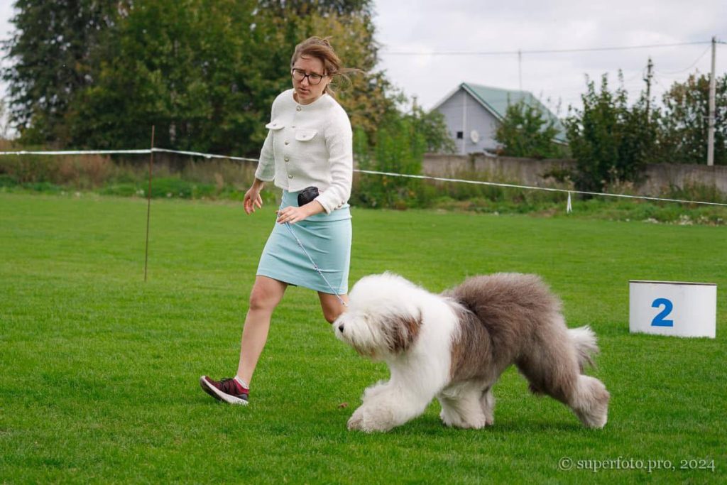 Собака FURRY MIRACLE NEW WONDER