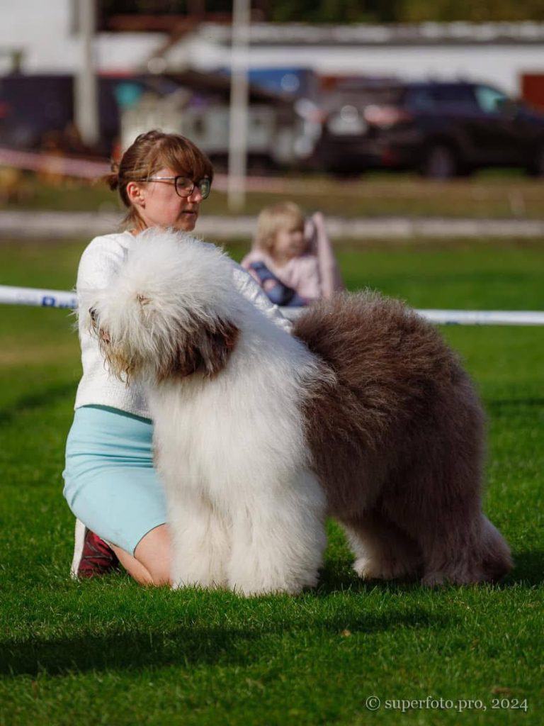 Собака FURRY MIRACLE NEW WONDER