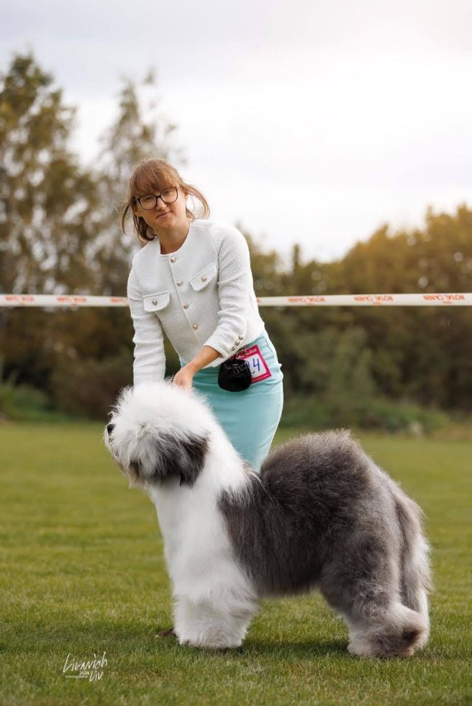 Собака FURRY MIRACLE NEW WONDER