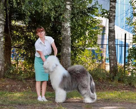 Собака FURRY MIRACLE NUMBER ONE