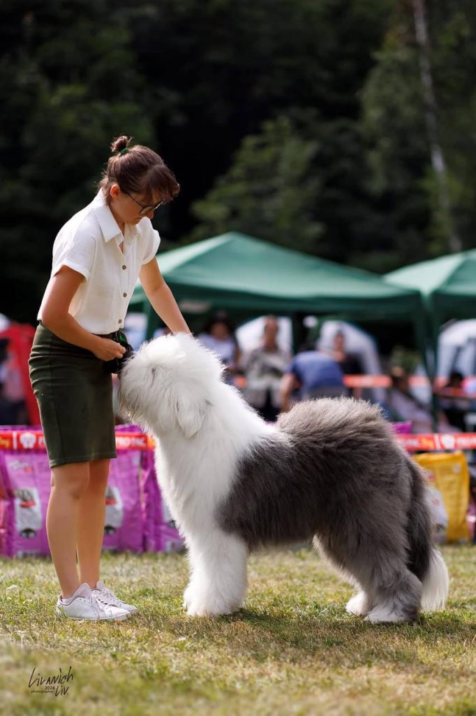 Собака FURRY MIRACLE NUMBER ONE