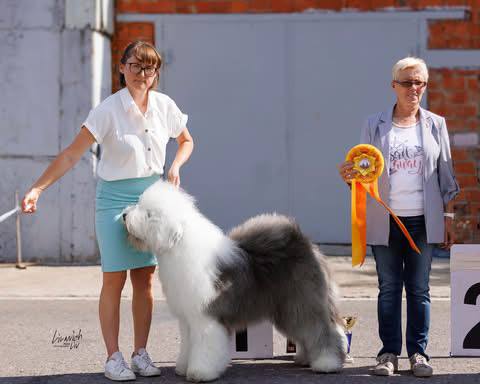 Собака FURRY MIRACLE NUMBER ONE