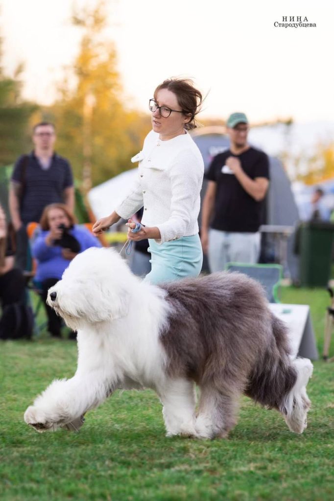 Собака FURRY MIRACLE NUMBER ONE