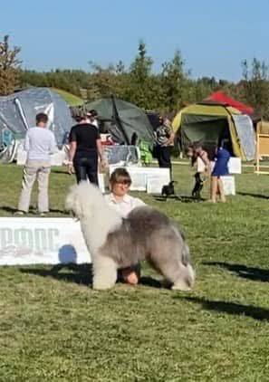 Собака FURRY MIRACLE NUMBER ONE