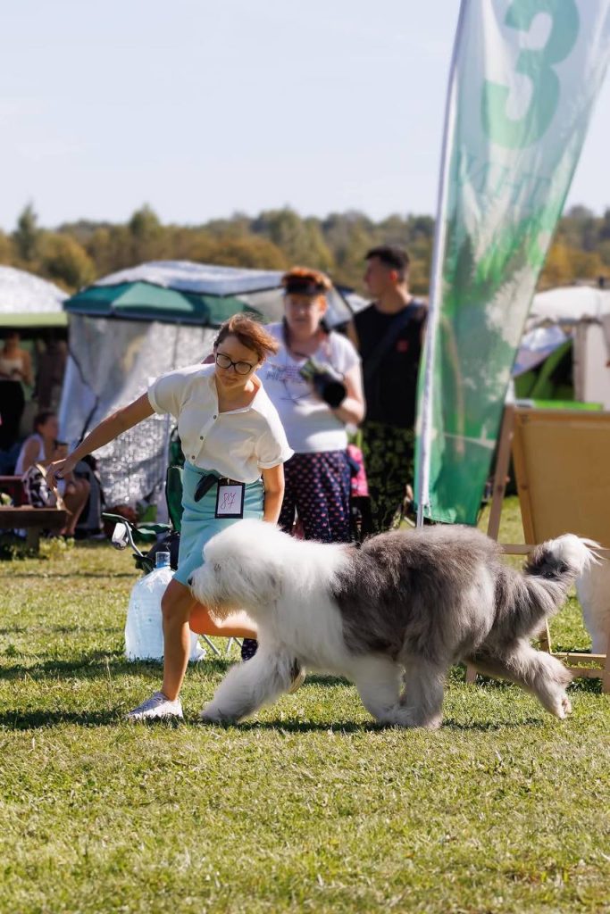 Собака FURRY MIRACLE NUMBER ONE