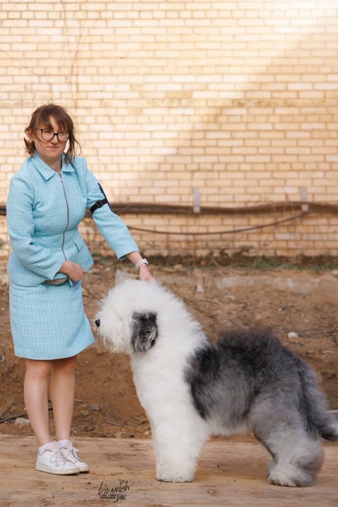 Собака FURRY MIRACLE NEW WONDER