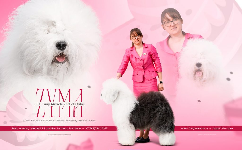 Собака JBIS JGCH FURRY MIRACLE ZEST OF CAKE ZYMA