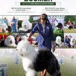 Собака FURRY MIRACLE ZIGZAG ZOOMER