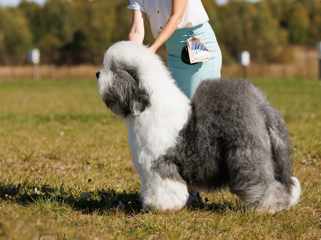 CH. FURRY MIRACLE GALATEA