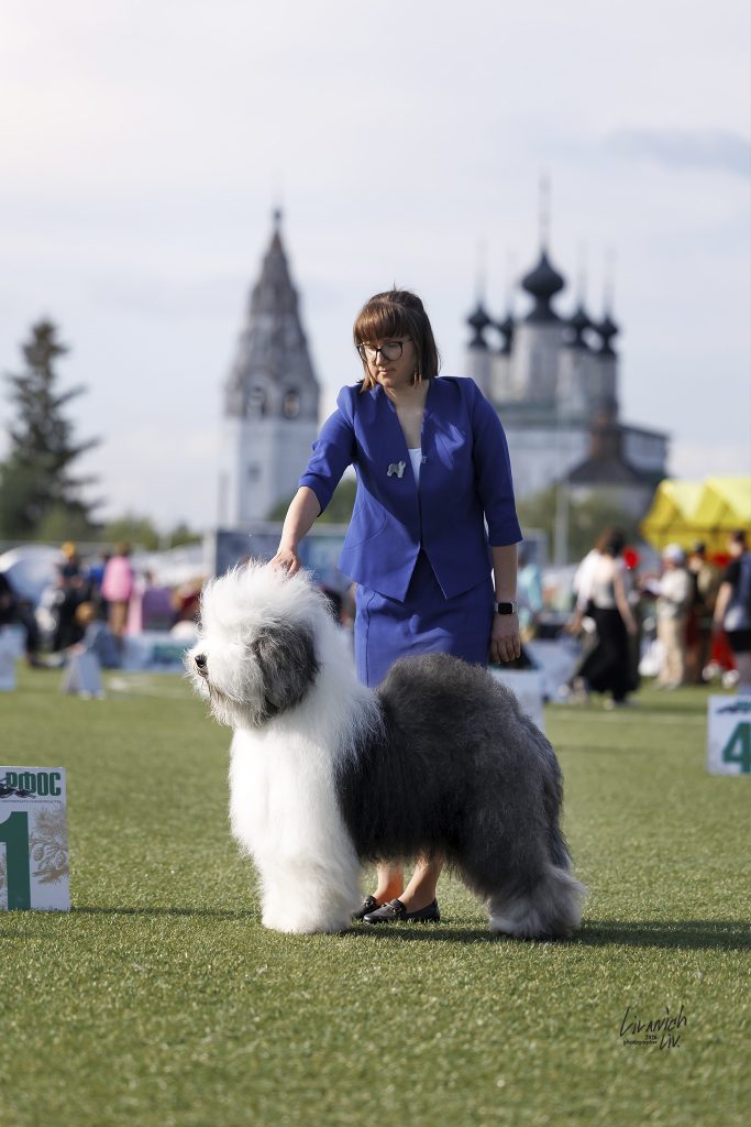 Собака FURRY MIRACLE NEW WONDER