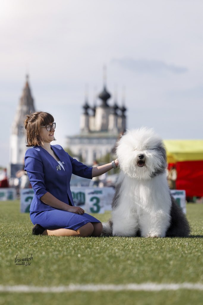 Собака FURRY MIRACLE NEW WONDER