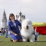 Собака FURRY MIRACLE ZIGZAG ZOOMER