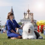 Собака FURRY MIRACLE ZIGZAG ZOOMER