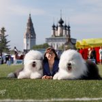 Собака FURRY MIRACLE ZIGZAG ZOOMER