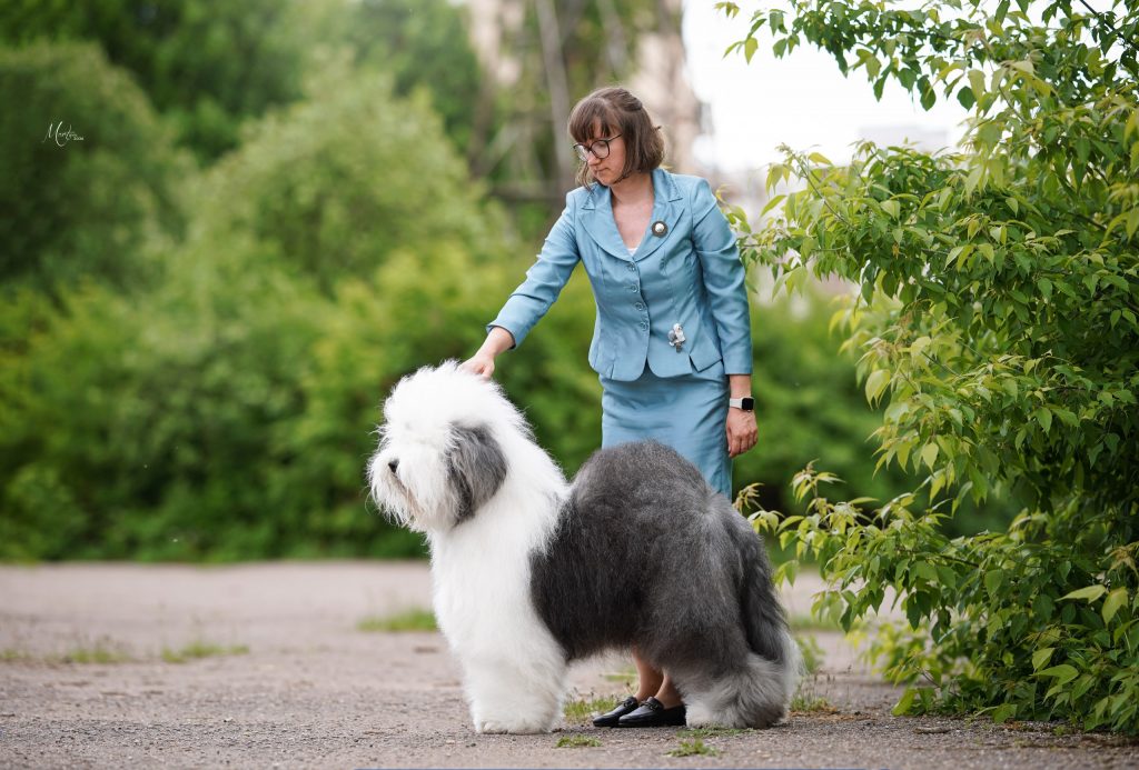 Собака FURRY MIRACLE NEW WONDER