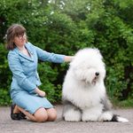 Собака FURRY MIRACLE ZIGZAG ZOOMER