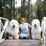 Собака FURRY MIRACLE ZIGZAG ZOOMER