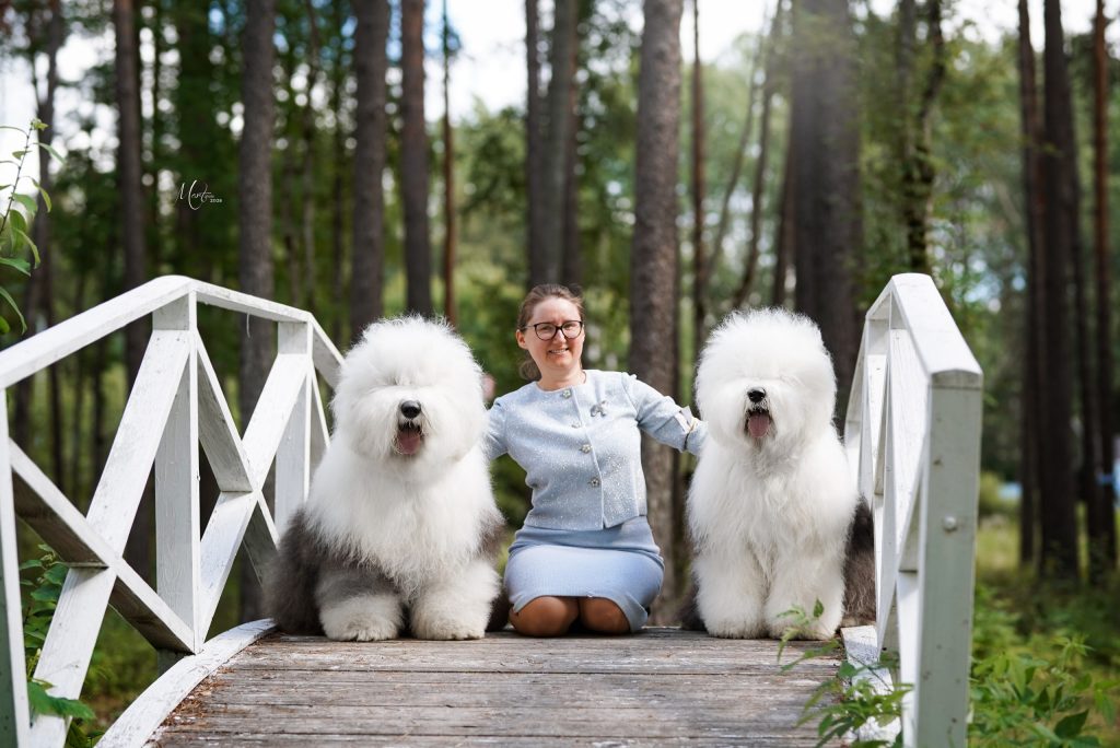 Собака JBIS JGCH FURRY MIRACLE ZEST OF CAKE ZYMA