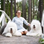 Собака FURRY MIRACLE ZIGZAG ZOOMER