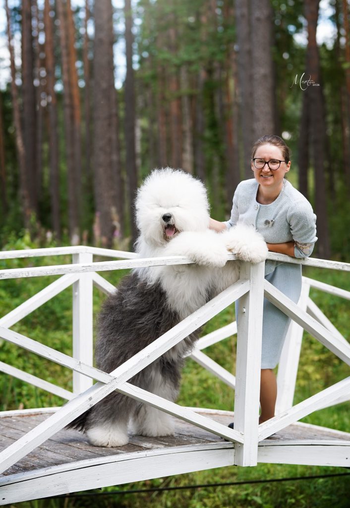 Собака JBIS JGCH FURRY MIRACLE ZEST OF CAKE ZYMA