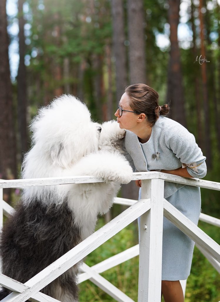 Собака JBIS JGCH FURRY MIRACLE ZEST OF CAKE ZYMA