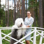Собака FURRY MIRACLE ZIGZAG ZOOMER