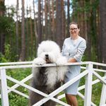 Собака FURRY MIRACLE ZIGZAG ZOOMER