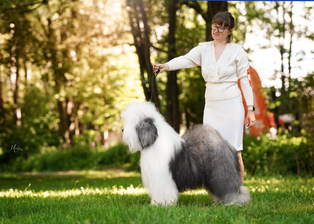 Собака FURRY MIRACLE NEW WONDER