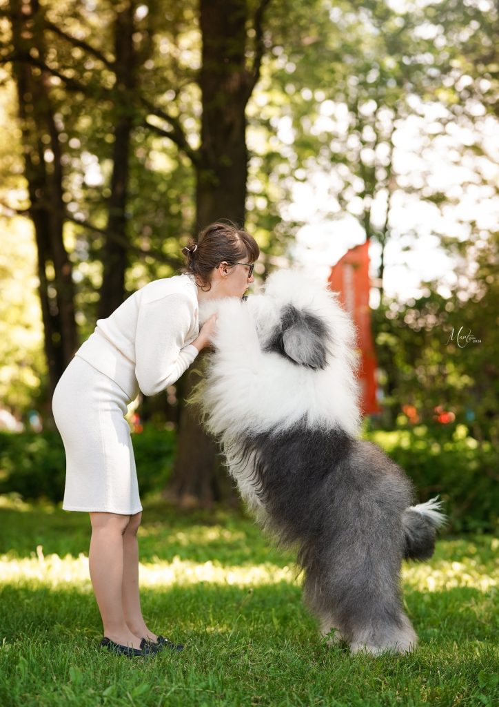 Собака FURRY MIRACLE NEW WONDER