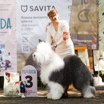 Собака FURRY MIRACLE ZIGZAG ZOOMER