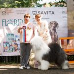 Собака FURRY MIRACLE ZIGZAG ZOOMER
