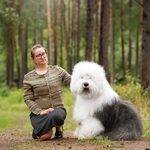 Собака FURRY MIRACLE ZIGZAG ZOOMER