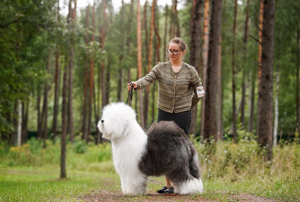 Собака JBIS JGCH FURRY MIRACLE ZEST OF CAKE ZYMA