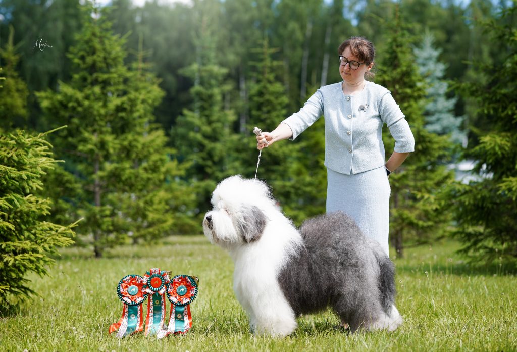 Собака FURRY MIRACLE NEW WONDER